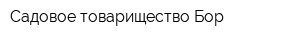 Садовое товарищество Бор