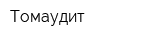 Томаудит