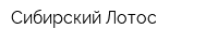 Сибирский Лотос