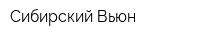 Сибирский Вьюн