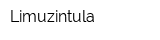 Limuzintula
