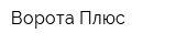 Ворота Плюс