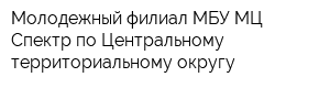 Молодежный филиал МБУ МЦ Спектр по Центральному территориальному округу