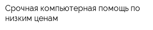 Срочная компьютерная помощь по низким ценам