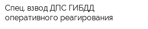 Спец взвод ДПС ГИБДД оперативного реагирования