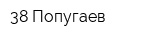38 Попугаев
