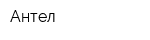 Антел