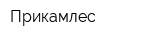 Прикамлес
