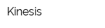 Kinesis