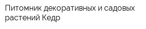 Питомник декоративных и садовых растений Кедр