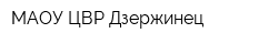 МАОУ ЦВР Дзержинец