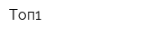 Топ1