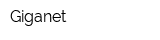 Giganet