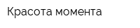 Красота момента
