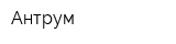 Антрум