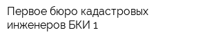 Первое бюро кадастровых инженеров БКИ 1
