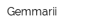 Gemmarii