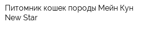 Питомник кошек породы Мейн Кун New Star