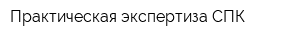 Практическая экспертиза СПК