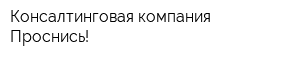 Консалтинговая компания Проснись!