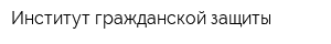 Институт гражданской защиты