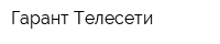 Гарант-Телесети