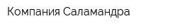Компания Саламандра