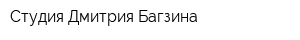 Студия Дмитрия Багзина