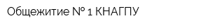 Общежитие   1 КНАГПУ