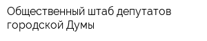 Общественный штаб депутатов городской Думы