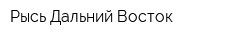 Рысь-Дальний Восток