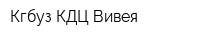 Кгбуз КДЦ Вивея
