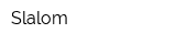 Slalom