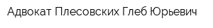 Адвокат Плесовских Глеб Юрьевич