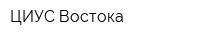 ЦИУС Востока