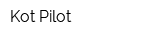 Kot Pilot