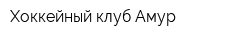 Хоккейный клуб Амур