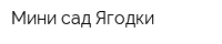 Мини-сад Ягодки
