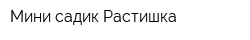 Мини-садик Растишка