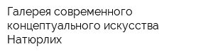 Галерея современного концептуального искусства Натюрлих