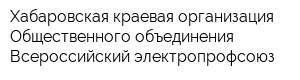 Хабаровская краевая организация Общественного объединения Всероссийский электропрофсоюз