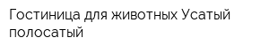 Гостиница для животных Усатый-полосатый