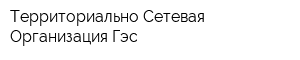 Территориально-Сетевая Организация-Гэс
