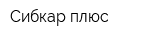 Сибкар плюс