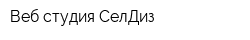 Веб-студия СелДиз