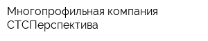 Многопрофильная компания СТСПерспектива