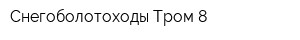 Снегоболотоходы Тром 8