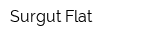Surgut Flat