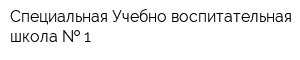 Специальная Учебно-воспитательная школа   1
