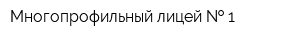 Многопрофильный лицей   1